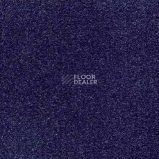 Ковролин Radici Admiral Midnight 2213 фото 1 | FLOORDEALER